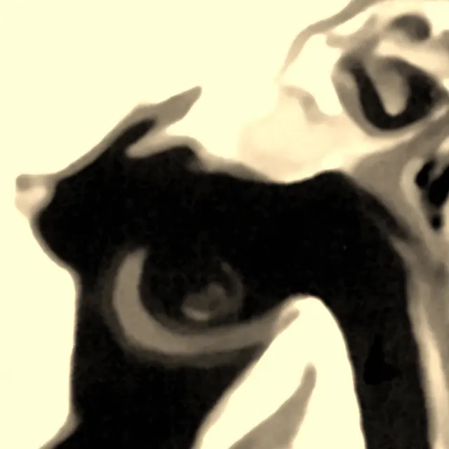 Artwork by June LaVonne, no. 30614